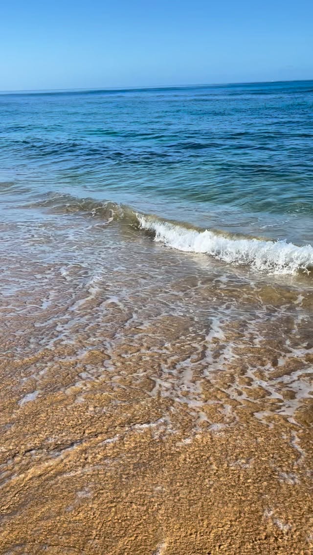 A view that I’m not sure I could ever get tired of. One of my favorite activities in Hawaii was beach hopping. Spend a couple of hours at one beach, drive down the road to the next one, maybe eat something in between
.
.
.
#visitoahu #visithawaii #girlswhotravel #yesvisittheusa