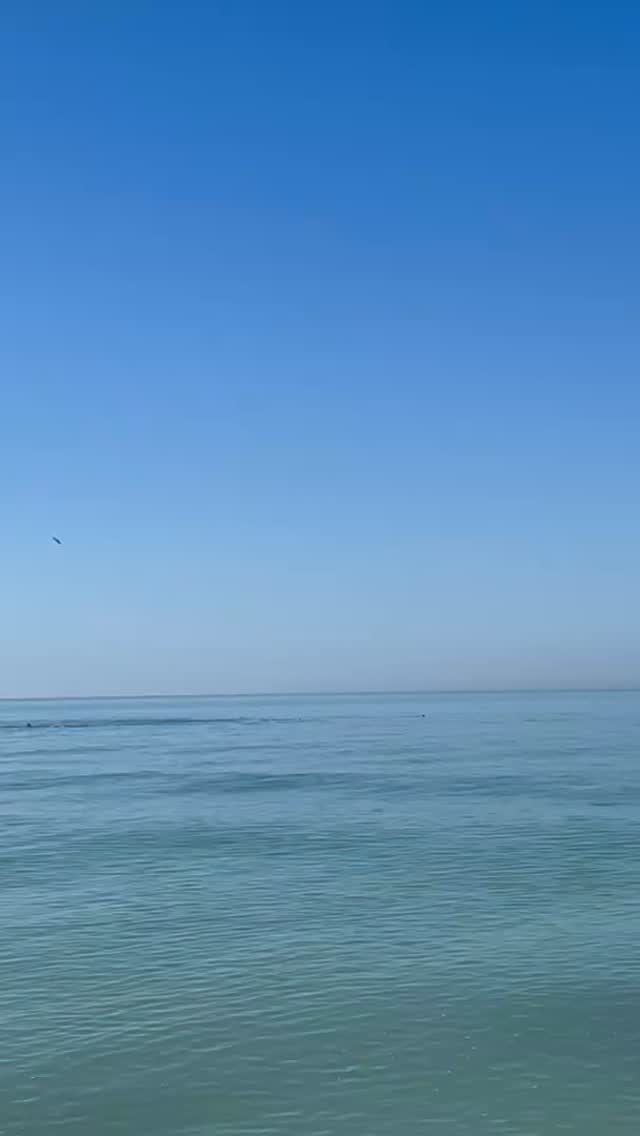What’s your favorite thing to do at the ocean?
I’m craving to be back in the Blue Space. Milo 🐈⬛ and I had to reschedule our flight back to Ft. Myers due to the snow ❄️
The Blue Space is any natural environment with visible water such as the ocean that when we’re near it helps our body relax and mind feel more at ease.
There is something about being by the water that calls us.
Perhaps it’s the vastness of the horizon.🔭
Or the gentle way the ocean holds us.🌊
The steady rhythm of the water calming our nervous system.🧘♀️
The immersion in nature- sea life, sky, wind, waves, seashells. 🐚💨🐬
Whatever it is, you feel it deep within.
You know it when you know it.
A yearning like no other…
Any when you arrive- you know.
Feet in the sand.
Breath deepening.
Body softening.
Mind quieting.
Connection.
Let’s bring some warmth into this storm! ❄️
Love to hear from you:
✨What’s your favorite thing to do when you’re near the water?
✨Walk the shoreline? Shell? Sit and stare? Read a good book?
✨Or perhaps there is a favorite memory that comes flooding back?
Please share below. ⬇️
I’ll start in comments!
www.coachingbyro.com
#bluespace #oceanlife #bytheseaside #oceanside #waterheals