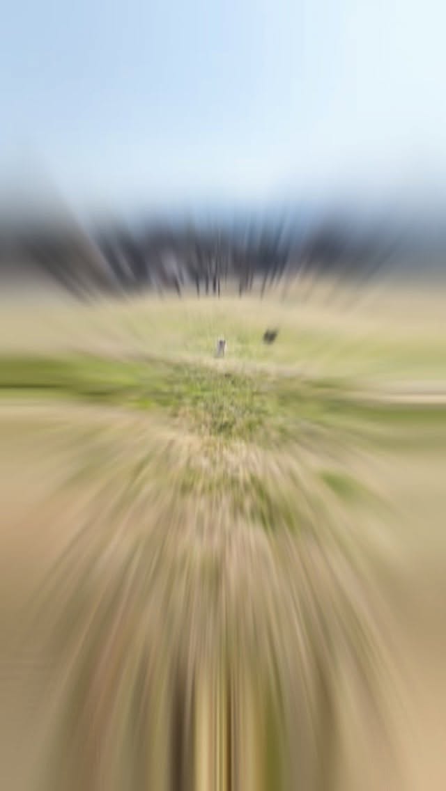 We play hard, we snack hard, and we nap hard! Friendship Gang is in full effect!
#petsitter #asheville #dogsitter #friendshipgang #houseparty