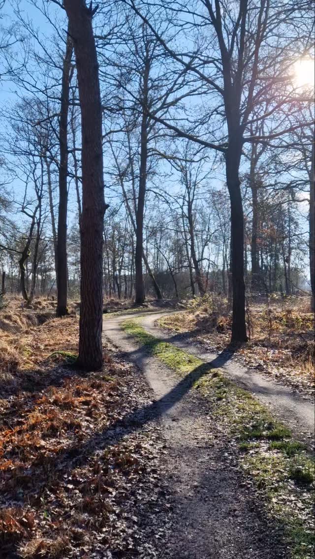 Natuurlijk ben ik hier nu. Bijna onmogelijk voor mij om ergens anders te zijn.
.
#natureinspires #natureheals #natuurbrengtrust #morningwalk
