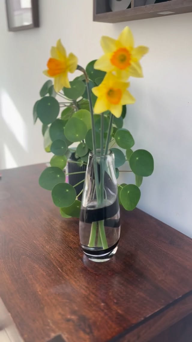 Are you ready for Spring or still in Winter vibes?
Spring can bring a new sense of possibility and positivity to your mindset. You deserve a pay rise, you deserve to love your job and you deserve to try that job you’ve been wanting to try for a while.
Fashion Path can help you realise your career goals with industry experience from both sides. We value authentic view points and helping people realise their full potential. Get in touch for more Lynsey@fashionpath.co.uk
#career #grad #buyer #careercoach #fashion