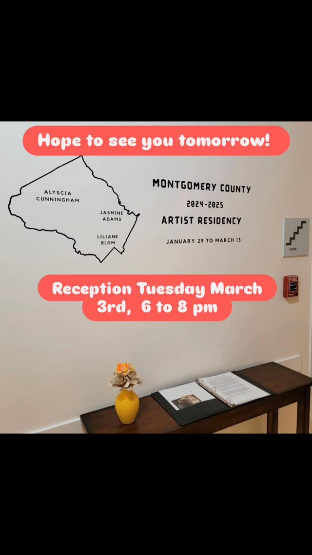 Third time is the charm, join Alisha, Jasmine, and me tomorrow Tuesday March 3rd from 6 to 8 p m, as we celebrate Montgomery County's inaugural artists in resistance. If you wear one of my 50 painters of Seeds of Hope, come see yourself in action! @Betty Mae Kramer Gallery in Silver Spring.
