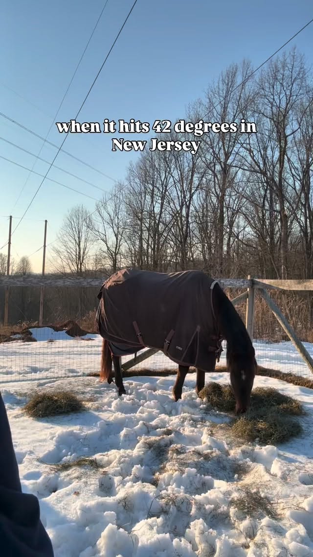 I swear Cruel Summer is one of the best songs of alllllllll time and the first one I’m going to jam out to at the first sniff of Spring 🌸
And then I woke up to more snow, so. Yay. Glad I made the best of yesterday.
And lastly, Jersey loved watching me look like an idiot 😂 and genuinely enjoyed my off key singing. I promise…..