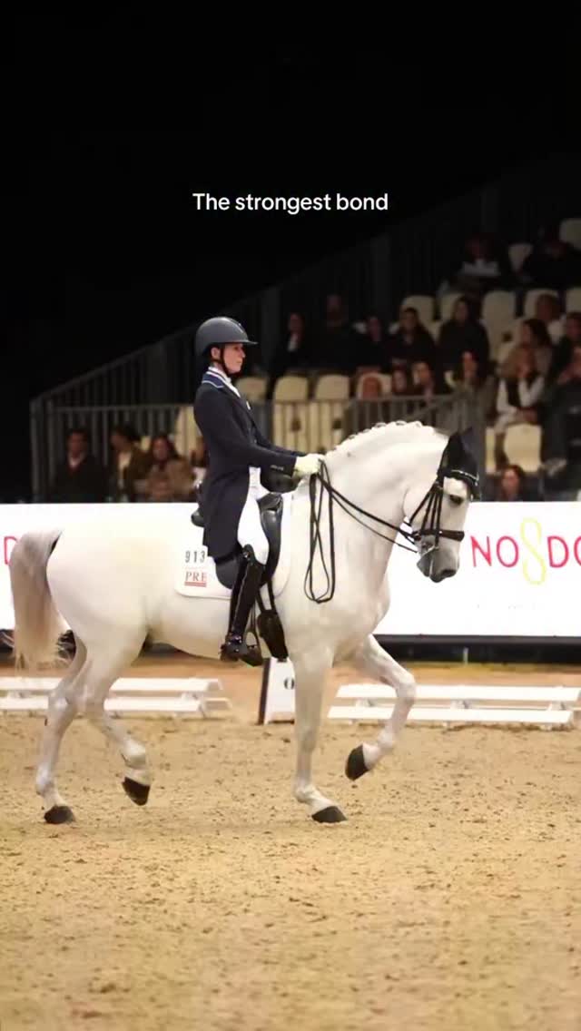 El vínculo más fuerte 💫 @matildaschmecheldressage dando todo en la pista con nuestros breeches blancos de competición. La confianza lo es todo. 🐎
The strongest bond 💫 @matildaschmecheldressage giving it our all in the arena in our white competition breeches. Trust is everything. 🐎
👸 @matildaschmecheldressage
📸 @ambracero @twohearts_portrait
#equestrian #dressage #ridingoutfit #equestrianfashion #rider