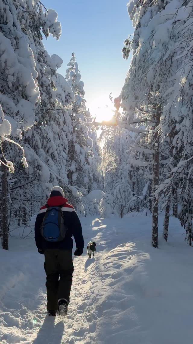 The sun is so strong now that the snow is starting to fall from the trees.
#levilapland #visitfinland #snowytrees