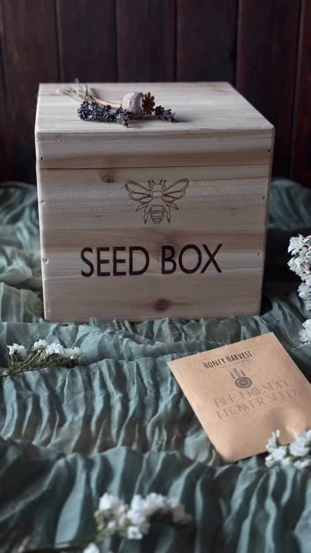 Like every year, I’m sharing with you my own flower seeds from my garden.
From today until the end of March, every order will include a little envelope filled with sunflower seeds and a mix of wild meadow flowers, everything what bloomed around my bees last year.
Plant them wherever you like ,your garden, a balcony pot, a quiet corner that needs colour
If you don’t have time or that’s not your thing, you can give them to someone ❤️
I just love the thought that pieces of my garden can bloom in yours.
This reminded me of a young influencer with her comment of my post last year that I encourage people to plant flowers so my bees and me can benefit from it 😂😂😂
But here’s the truth and answer to her:
Bees don’t ask who planted what.
They simply fly to where flowers are.
More flowers in the world is never a bad idea.
It feeds pollinators.
It supports nature.
It brings joy.
.
.
.
#explore #diy #sustainable #biodiversity #organicseeds