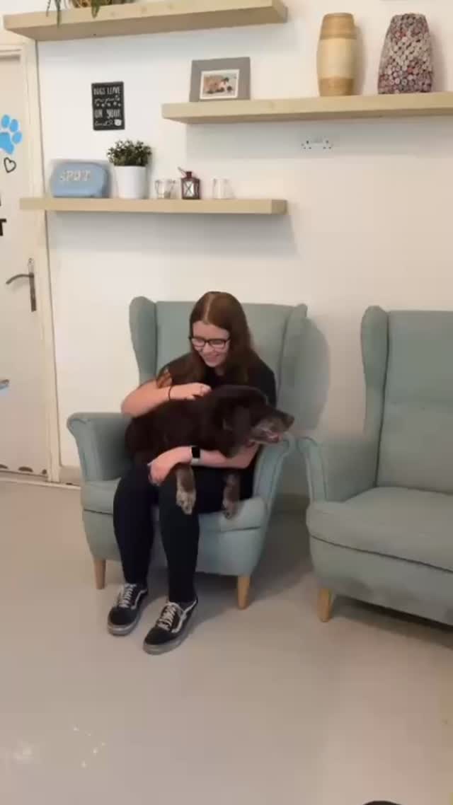 We truly 🩵 them all 🐾
#doggie #daycare #dogdaycare #dubaï