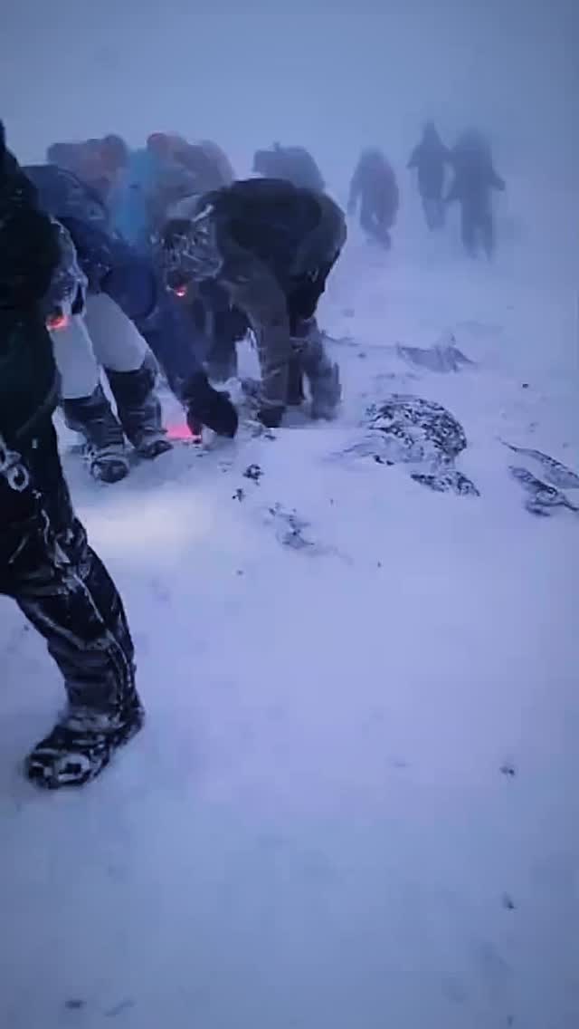 Top of Africa, bottom of the thermometer. ❄️🏔️
Don’t just dream about it—climb it. DM me “SUMMIT” for the full itinerary and booking details for our next expedition!
#bigfivetrails #viajestanzaniaconbigfivetrails #kilimangiaro #trrekkingalkilimanjaro #viajestanzania