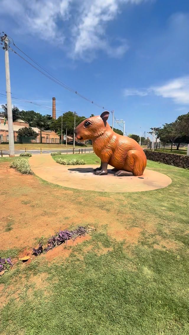 DONA CAPI VOLTOU
A escultura Dona Capi, um dos cartões-postais mais visitados de Rio Preto, voltou a receber visitantes após passar por manutenção iniciada em 20 de janeiro.
A obra passou por reforço na camada superficial de fibra de vidro e por repintura. O trabalho foi coordenado pelo artista plástico e escultor Fernando Facchini, autor da peça.Mais informações no Portal Guilherme Baffi
