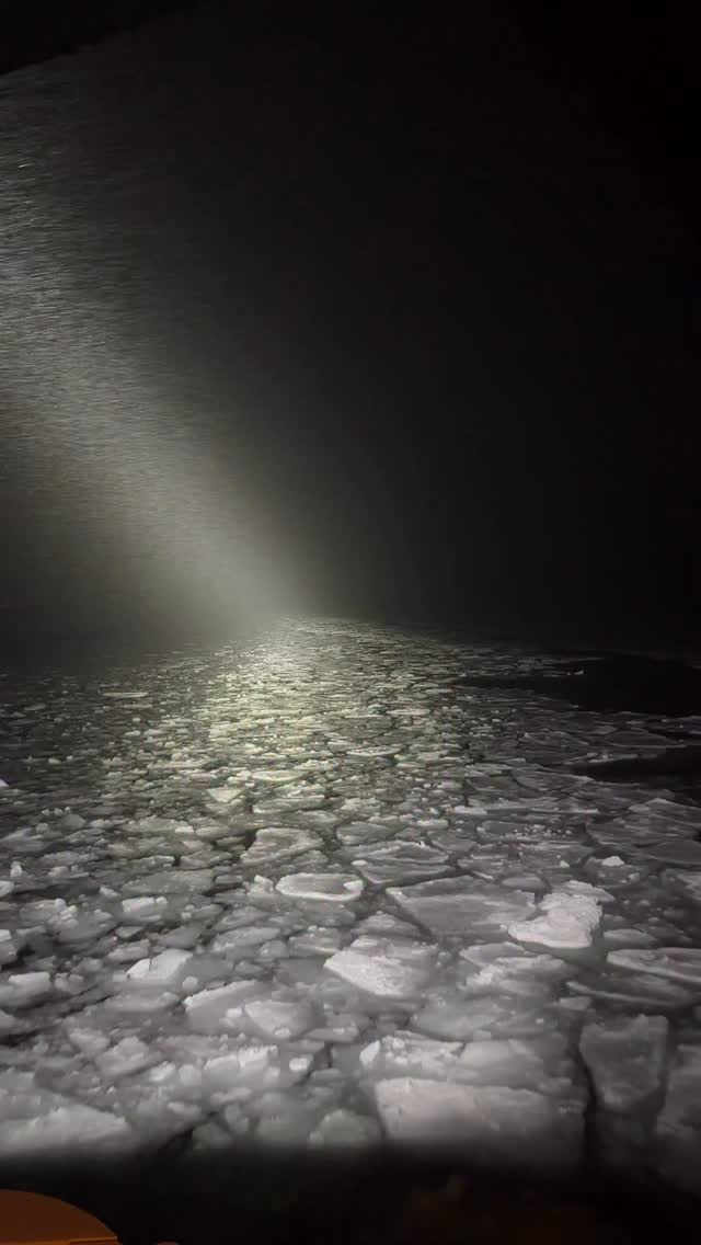 Älskar att åka färjan i isen!