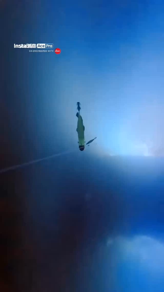 水中で丸見えHIT🔥
抱いた瞬間がたまらん
#イカメタル
#スルメイカ
#尾鷲釣り
#三重釣り
#イカ釣り