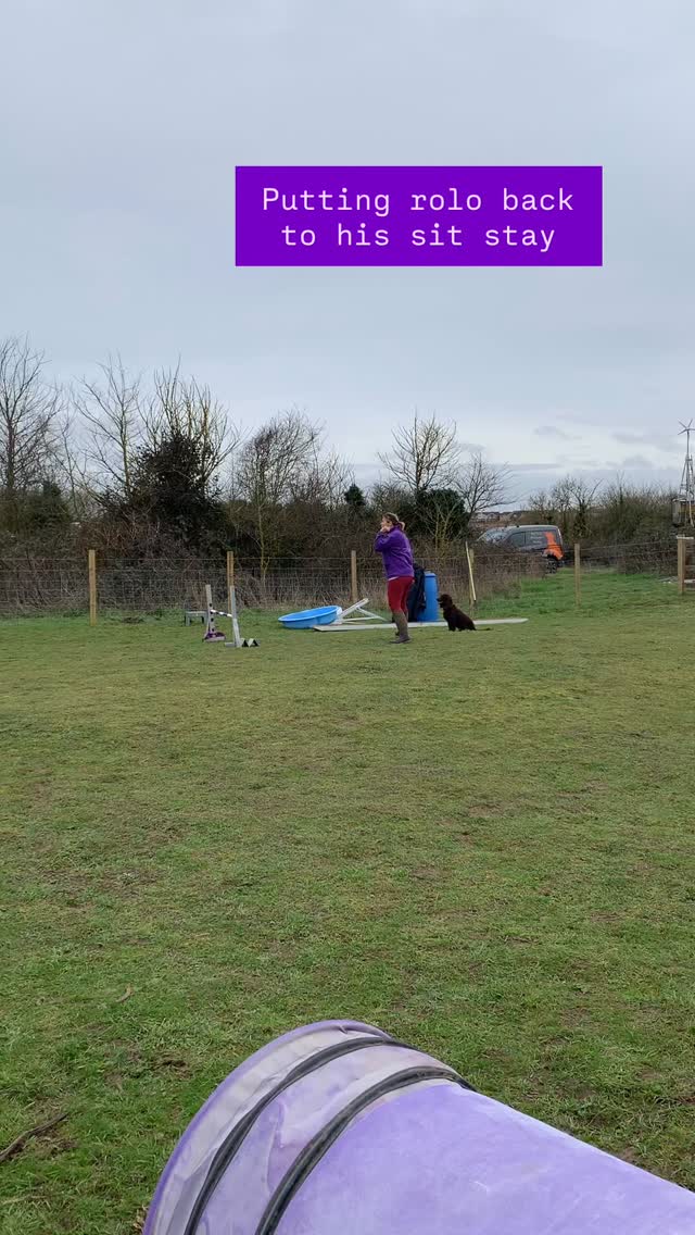 Did you know Mia & Rolo do agility….
This week’s training has shown lots of confidence from Rolo in his weaves, some handler areas to work on and a real excitement for this year’s competitions.
Rolo is starting this season at Grade 2 we are hoping our weekly sessions will help us get a little higher up 🤞🏻
Count down to first show 21 days….
#agilitytraining #agility #agilitydogs
