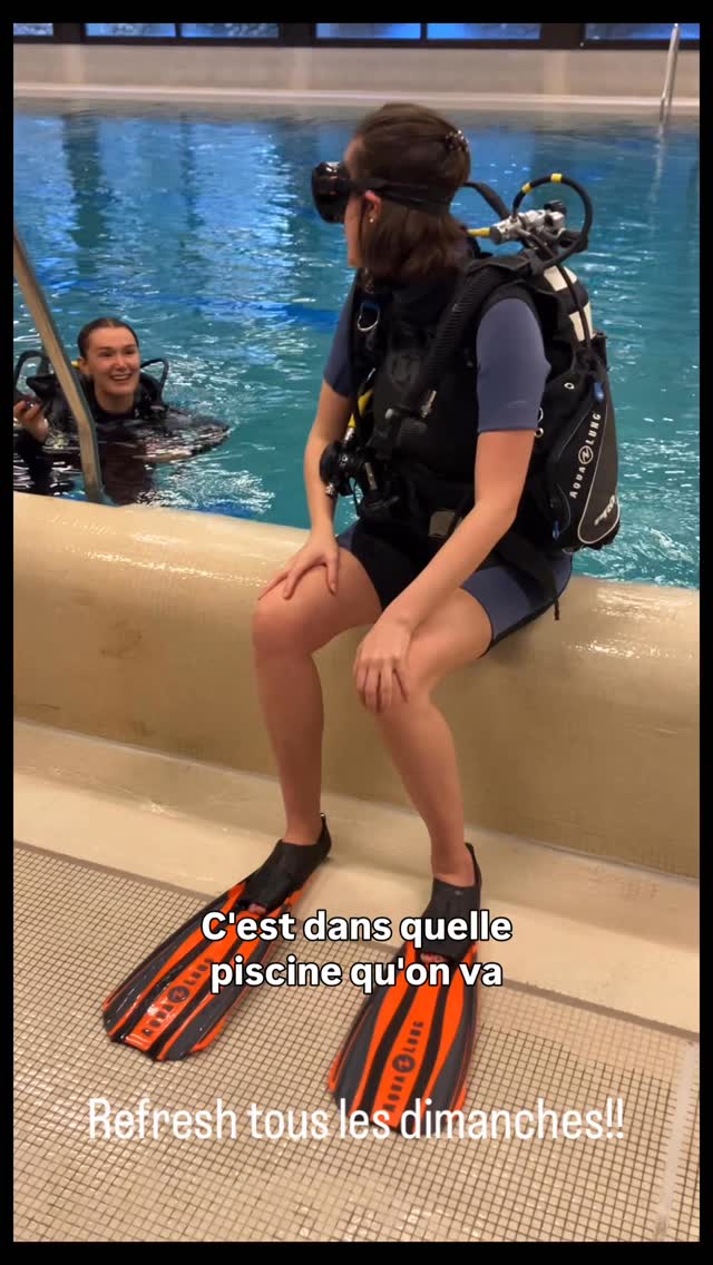 Préparez vos prochaines plongées avec nos gentils encadrants
Rejoignez nous sur @moramoradivers et @moramoratravel
La chasse aux œufs aura lieu le lundi de Pâques à Genève Plage
Bientôt plus d’infos. Concours avec beaucoup de lots!!!
#geneveplage #moramoratravel #moramoradivers #moramorageneveplage #plongeegeneve