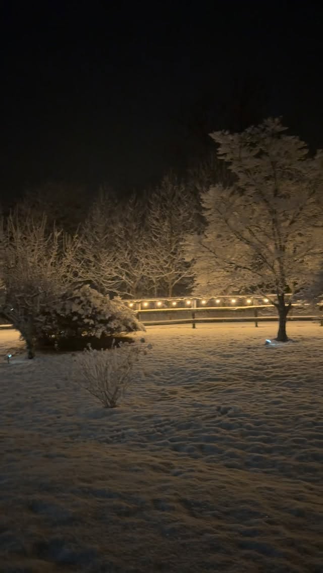 Went out to clear off my low tunnels (full of Ranunculus and Campanula all safely tucked in) so the wet snow didn’t sag the plastic too much- and had to take a minute to enjoy the quiet beauty of it all. I hope everyone is safe and my friends in NYC and New England are managing ok!!
#float #flowerfarm #snow #smallfarm