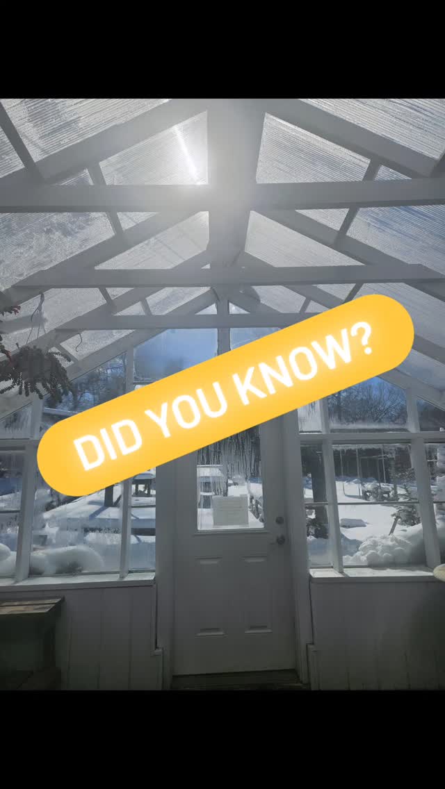 Spring sunshine is one of our favorite things... but in a greenhouse, more light isn't always better.
As the sun gets stronger, some plants thrive- while others need a little protection to prevent leaf scorch and sunburn.
We love finding solutions that not only protect our plants, but make our space even more beautiful for you to shop and explore!
Stop in to see what we're working on!
#colonialgardens #greenhouse #plantcare #spring #fairfieldct