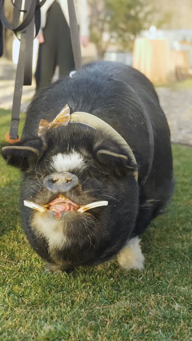 Rip & Sip is in the house!