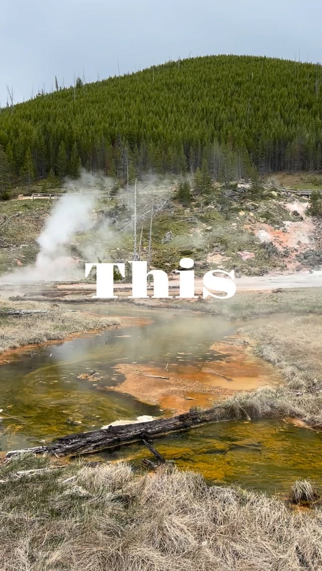 If you only visit one national park this year, make it @yellowstonenps
#yellowstonenationalpark #usnationalparks #ThatsWY