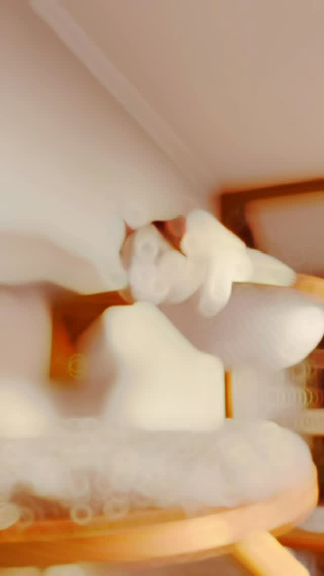 ♥️ GOOD NIGHT 🌙
.
.
.
.
#katze
#goodnighteveryone
#katzenpension
#fellliebe
#katzenliebe❤️🐾