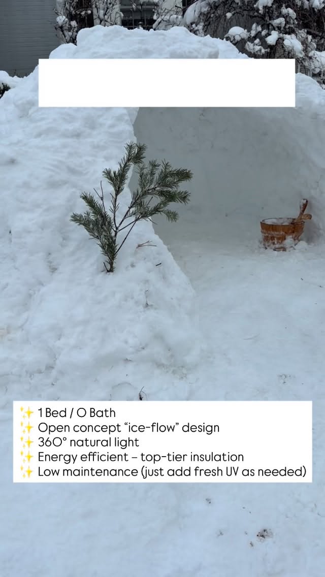🏠❄️ JUST LISTED: Luxury Igloo Estate ❄️🏠
Move-in ready (literally… just move in before it melts) 😌
✨ 1 Bed / 0 Bath
✨ Open concept “ice-flow” design
✨ 360° natural light
✨ Energy efficient – top-tier insulation
✨ Low maintenance (just add fresh snow as needed)
✅ Move-in ready
✅ NO CO required
✅ Flexible closing date — preferably before spring
Bonus features:
• Built-in freezer storage
DM for a private showing — parkas encouraged.
#ridgewoodkoreanrealtor #ridgewoodrealtor #리지우드리얼터 #리지우드부동산 #뉴저지부동산