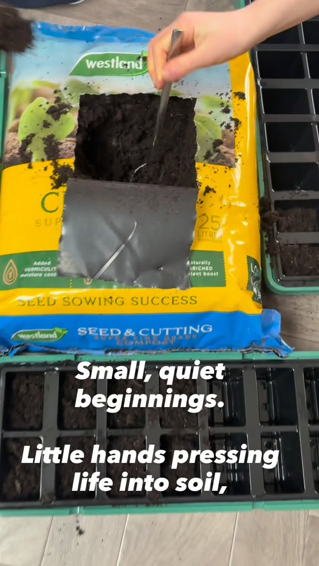 It always starts this small 🌱
Today the kids planted the first seeds of the season.
Tiny hands, muddy fingers, quiet beginnings.
In a few months these will be food for picnics,
veg pulled straight from the soil,
and memories rooted in real life.
From seed → sprout → harvest 🤍
This is where the growing begins. #growing #growwithus #homegrown #farmlife