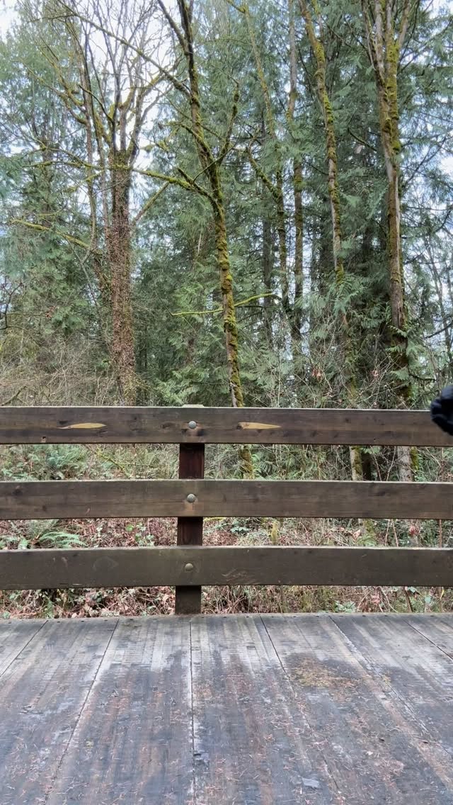 12 oz bags go live by 10 am Saturday, Feb 21st!
.
.
.
.
.
.
.
.
#coffee #pnw #wa #outdoors #nature