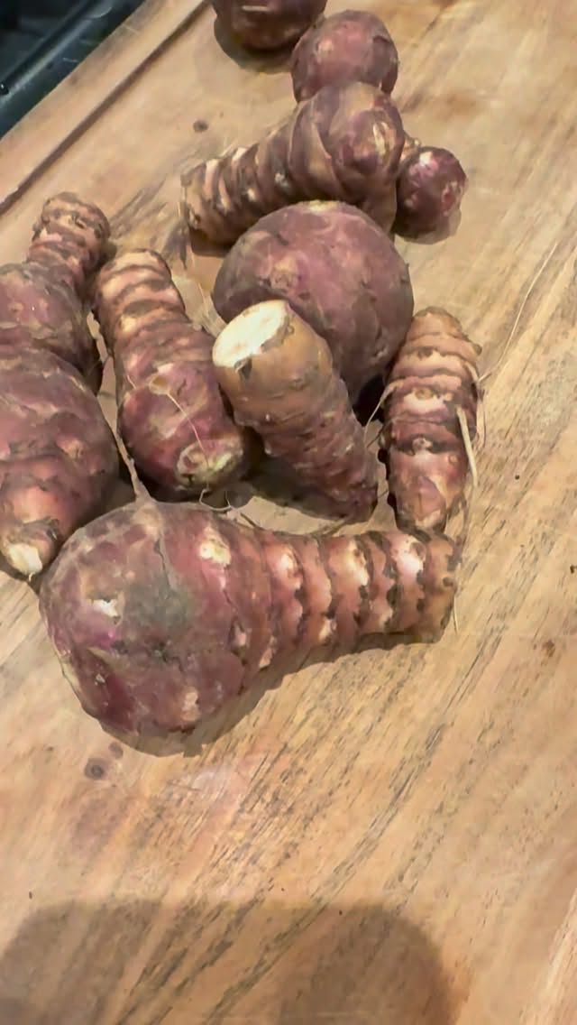 Dejlig variation til det grønne…
Flotte danske jordskokker stegt på panden og rødbeder vendt i rapsolie med citron og sesamfrø ..
Skræller jordskokkerne, hakker dem groft, hakker et par rødløg groft og steger begge dele i olie og lidt smør, med hvidløg og frisk timian cirka 10 min. Drys med salt og mandler med salt.
Skræller rødbederne og deler den i stave.
Vendes i rapsolie med citron og derefter sesamfrø. Drys med salt. Bages i ovnen i 40 minutter ved 165 grader varmluft.
@hartvigengell #stabiltblodsukker #spismeregrønt