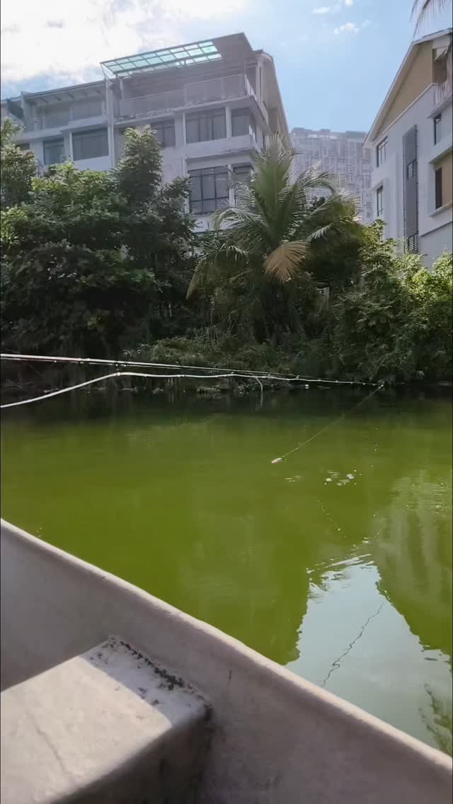 Strange religion #hardworkingangler #peacockbassfishingguidemalaysia #visitmalaysia #flyfishing #peacockbass