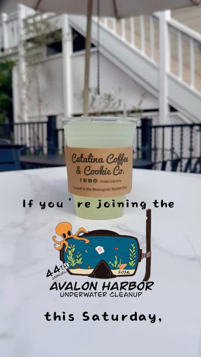 If you’re joining😊 the Avalon Harbor Clean-Up this Saturday,
don’t forget to swing by for a refreshing 🧊drink to recharge
and cool off! 🍋
#catcookieco