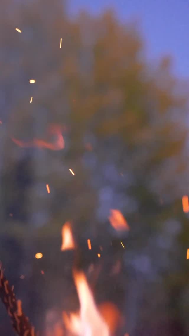 It’s been a couple weeks since the Chinese New Year and the year of the fire horse began. 🔥🐴
Since it was unanimous that we were all ready for the year of the snake to be over with, so many of us couldn’t wait for the new energy to come in.
Everyone I talked to was saying how they can’t wait for the momentum to start, and big changes in their lives to occur!
Then rolls in eclipse season and mercury retrograde. 😰
The fast forward motion and momentum everyone was expecting was replace with…
-Emotional triggers,
-Deep introspection and reflection,
-More release and clearing,
-And reevaluating what’s next.
So if you are wondering where’s the momentum, and transformation I was expecting?
Fire horse energy where are you?
It’s here even though it might not look like what was expected.
I heard this message loud and clear in my own introspection and I want to share it with you….
This season is a prerequisite to the momentum we have all been excited for.
It’s important to have a real talk with yourself and acknowledge…
“what version of you is meant to be left behind so you can move forward❓”
Yes in the year of the snake we shed a lot and now it’s time to let who we were, and all that’s outdated be burnt to the ground so we have space for a fresh foundations for all that we are destined to build.
Letting go is tough but it is so worth it!
This is the epitome of transformation! ⚡️
It’s a phoenix rises from the ashes moment.
If we pause and do this, it will allow for us to create momentous energy going forward.
Surrender to the process.
We got this my friends!
Drop a 🔥 if you choosing to let go of what needs to so we can powerfully move forward!