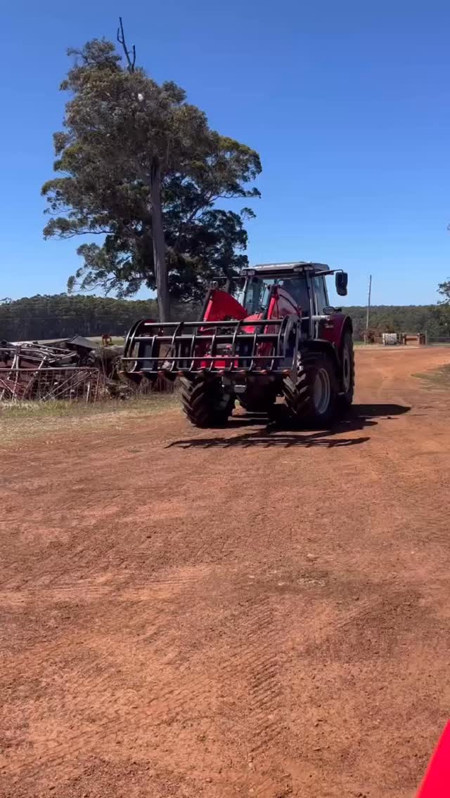Customer Delivery – Massey Ferguson 7S.145 Dyna 6 Tractor with MF FL 4323 loader
Another great delivery heading to the Channybearup area with this Massey Ferguson 7S.145 fitted with loader, HIMAC grapple and Quicke Q-Companion Load Weigh system — a powerful and reliable setup ready for livestock operations.
Why the MF 7S.145 is a great fit:
• Reliable, durable tractor built for everyday farm work
• Plenty of power for feeding out, bale handling and general property work
• Smooth, easy-to-use transmission for operator comfort
• Excellent visibility and loader performance for handling hay and materials
Quicke Q-Companion Load Weigh benefits:
• Accurate weighing of fertiliser, feed and other loads
• Helps keep track of daily productivity and usage
• Assists with loader service and maintenance scheduling
A big thank you to the Mathews family for their purchase and continued support of Southern Forest Machinery. We’re sure the MF 7S.145 will be a fantastic addition to the farm and deliver for many years to come. Now you finally have a tractor in your favourite colour to match your other vehicles!🔻🔻
#mfborntofarm @masseyfergusonglobal #masseyferguson #manjimup #pemberton #southernforestmachinery