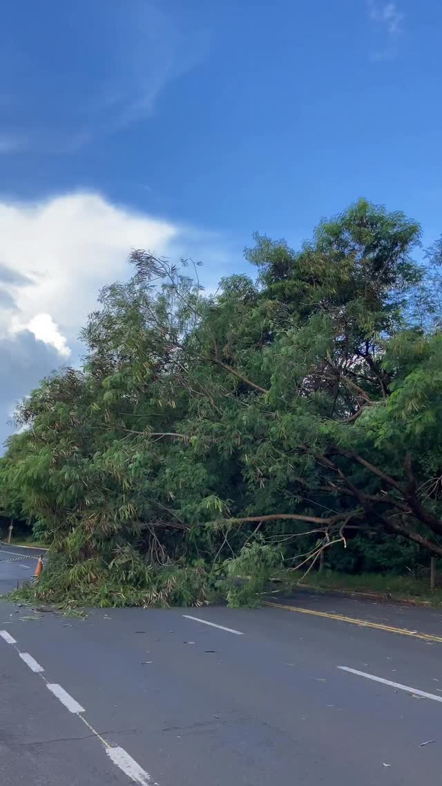 ATENÇÃO
ÁRVORE CAI E INTERDITA PARCIALMENTE AVENIDA ERNANI PIRES DOMINGUES
Uma árvore de grande porte caiu na tarde desta terça-feira e interditou parcialmente a avenida Ernani Pires Domingues, em Rio Preto.
Com a queda, parte da pista ficou bloqueada e o trânsito precisou ser desviado. A área foi isolada para garantir a segurança de motoristas e pedestres.
A Defesa Civil já está no local e acompanha a ocorrência. Ainda não há informações sobre feridos.
Equipes trabalham na remoção da árvore para liberação total da via.Mais informações no Portal Guilherme Baffi 🎥 @victornatureza