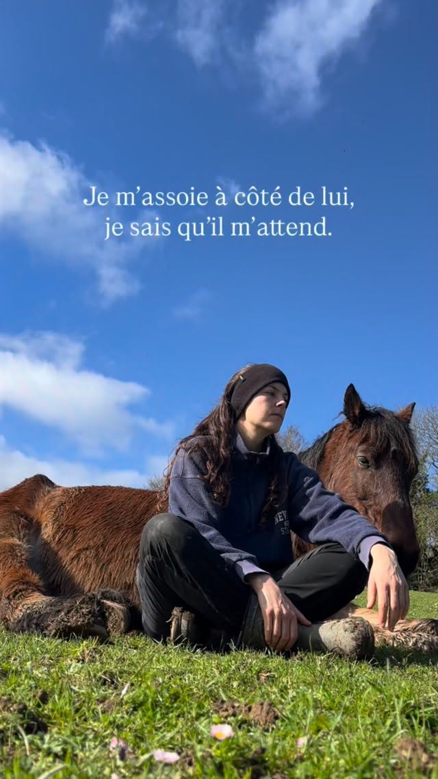 Ces moments uniques que je vis avec les animaux m’ont appris à écouter autrement, à ressentir plus finement et à faire confiance à mon intuition.
Aujourd’hui, je te transmets cette approche dans ma formation en communication animale, pas à pas, de façon claire et accessible.
Tu y apprendras à développer ton ressenti, à comprendre les messages subtils, à renforcer le lien avec les animaux et à prendre confiance en toi.
Je sais que si tu te choisis, cette expérience te fera grandir bien au-delà de ce que tu imagines.
#communicationintuitive #communicationanimale #comanimale #connexionanimale #communicationanimaleintuitive