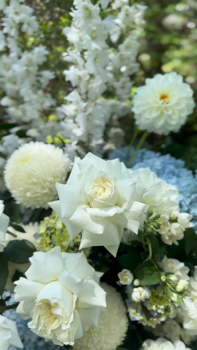 Soft hints of blue, fluffy clouds of hydrangeas, this wedding was timeless, classic and absolutely perfect for the stunning heritage of Milton Park Country Estate. @ardourmiltonpark