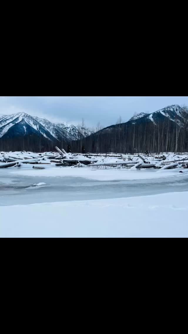 Making the best of the white stuff since its graced us with its presence again ❤️#winter #ferniebc #healingthroughnature #mindfulmoments #natureinbalance