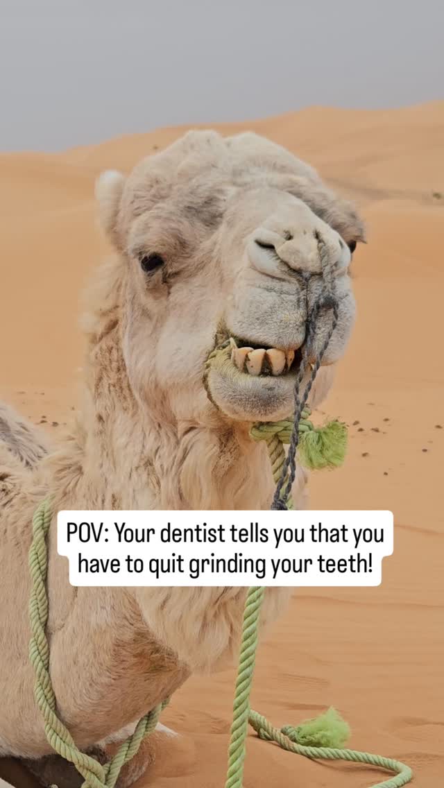 Yes, me. You too?
#dontgrindyourteeth #dentist #camel