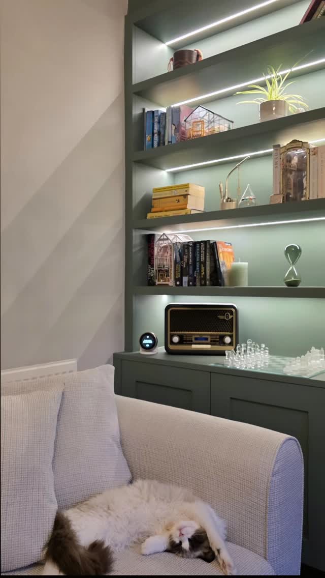 Cosy much? I think Cosmo is. A made to measure fitted alcove unit which utilises the space perfectly, finished with warm white LED lighting.