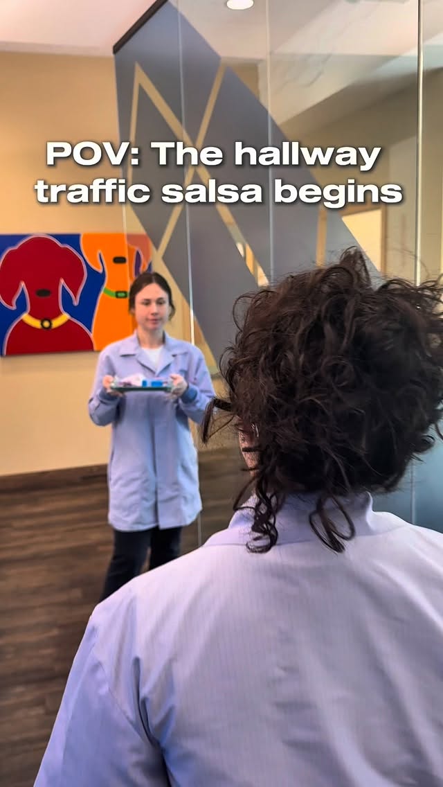 Counting down to Dental Assistant Week next week! ✨🦷
We’re getting excited to celebrate our bright, fun crew who bring so much heart to everything they do.
Our assistants play a vital part in making sure our patients feel comfortable, cared for, and confident every single day. We can’t wait to spotlight our fantastic team next week! 💛
#drgiladds #pediatricdentistry #childrensdentistry #kidsdentalcare #millvalley