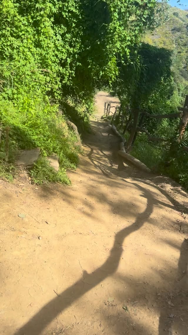 A gentle reminder to come back into your body today.
Nature regulates.
Movement integrates.
Presence heals. 🤍
#mind #wellness #selfcare #guide #nature