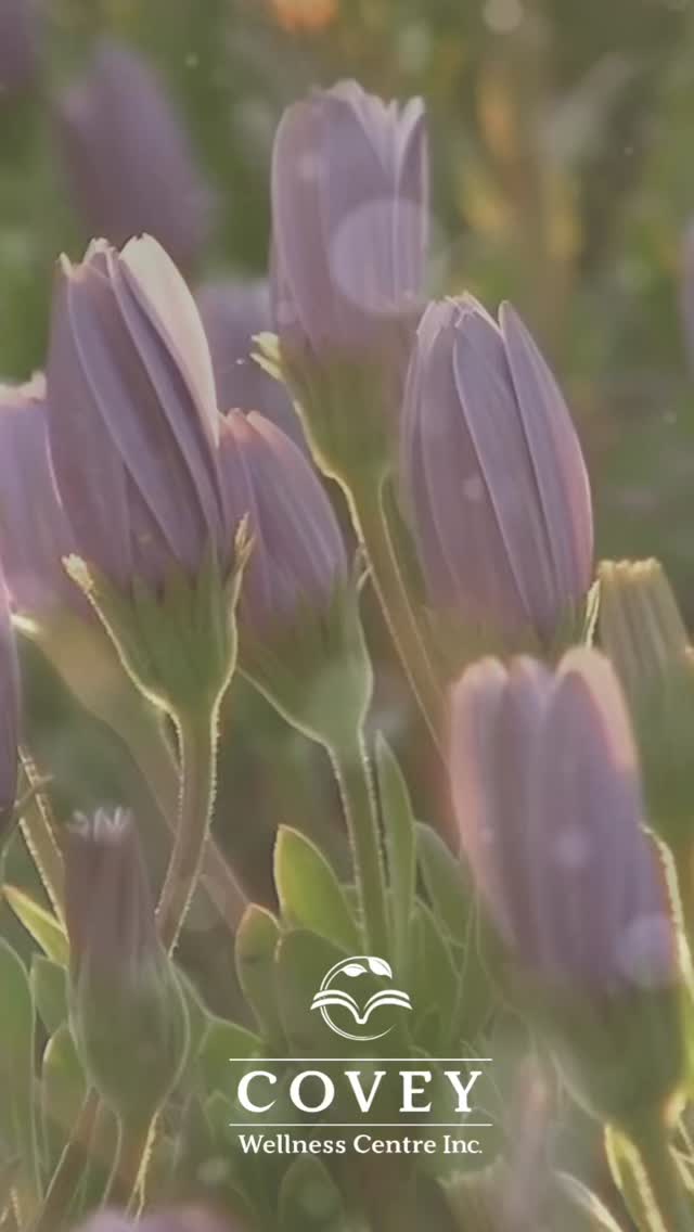 It may not be Spring just yet, but weโre getting closer ๐ฟ And with the change in season comes the shift to Daylight Saving Time.
Even though itโs โjustโ one hour, that small change can create noticeable physiological shifts in the body โ affecting sleep, energy, mood, and focus.
Here are a few gentle ways to make the transition a little easier:
โข Gradually adjust your sleep schedule.
Shift your bedtime 15โ20 minutes earlier for a few nights leading up to the time change. And aim for a little extra rest on Sunday night to help your body recalibrate.
โข Get outside for early morning sunlight.
Natural light helps regulate your circadian rhythm and signals to your body that itโs time to be awake and alert.
โข Keep naps short and sweet.
If you need a boost, aim for a 20-minute nap in the early afternoon. This can support energy without interfering with your evening sleep.
Small, mindful adjustments can go a long way in supporting your nervous system during seasonal shifts.
We hope these tips feel helpful ๐ค
Let us know in the comments which one youโll be trying!