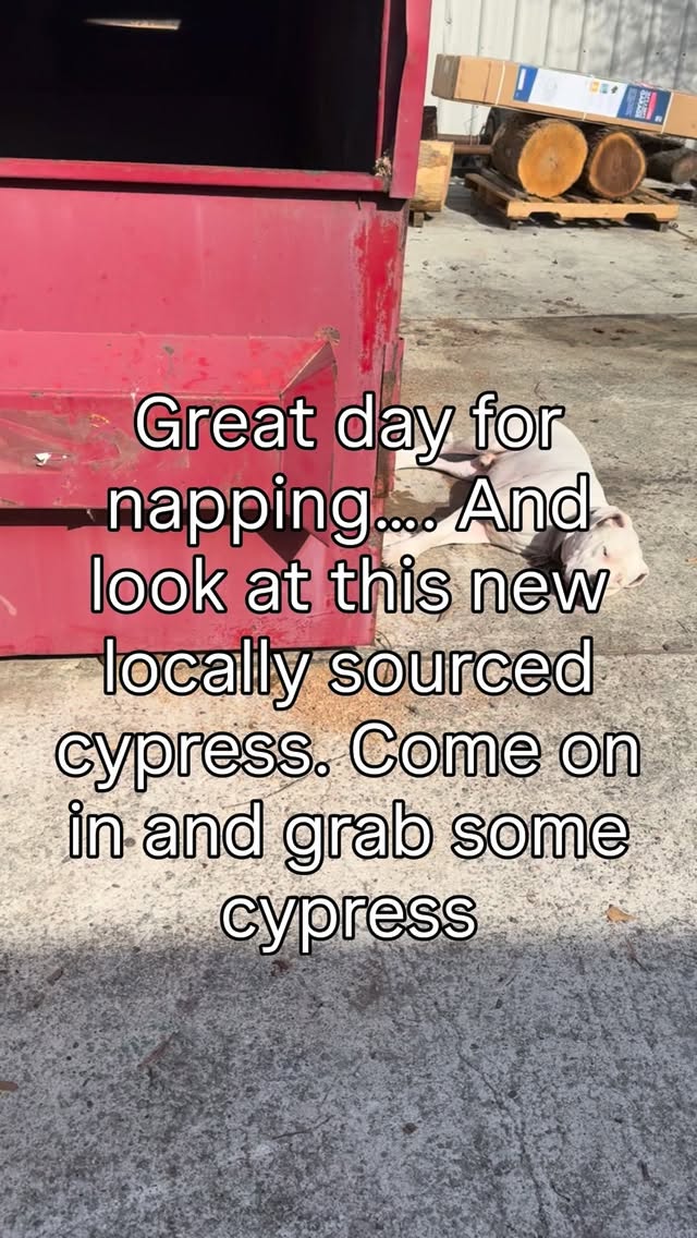 Duke is just hanging out enjoying the warm sun. Just brought in some locally sourced cypress! Come in and grab some.