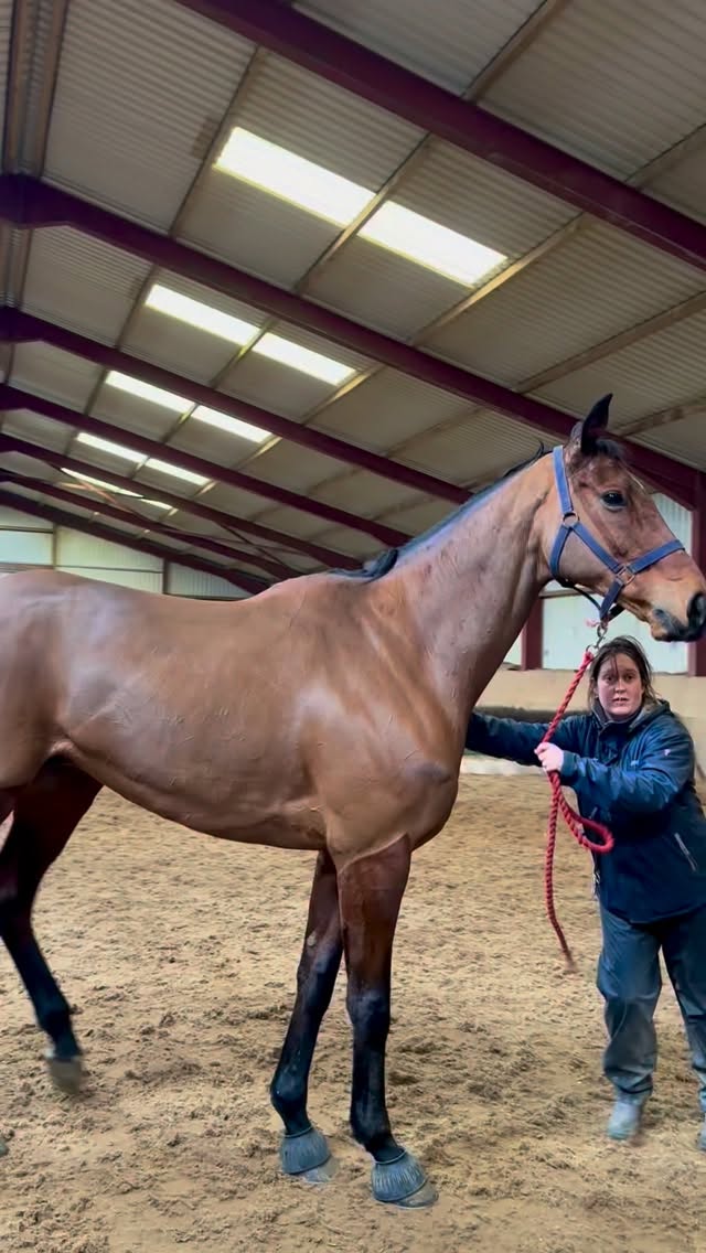 Envoi getting ready for the big one…🏆