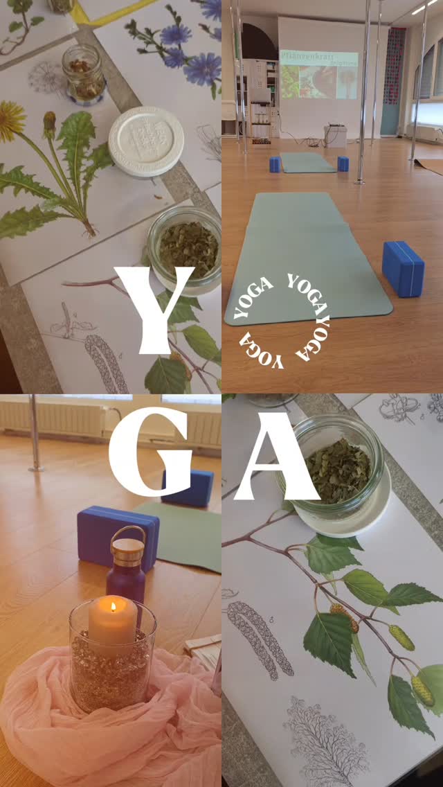 Ä normale Sunntig - üse Körper im Fokus:
Bimene Yoga Flow mitem Fokus uf Entgiftig het üs t @ste_lae optimal uf die aschliessendi Pflanzeentdeckigsreis vorbereitet. 🧘🏻♀️
Mit ihrem ungloublech breite Wüsse heimer vor @s.a.r.a_v.e.r.a viel nöiis und spannends über Pflanze und ihri Würkig im Bezug uf Entgiftig und Reinigung vom Körper dörfe lerne. Und im Aschluss heimer sogar ono üse eiget Tee gmischt u gad probiere 🌿
Du hesches verpasst oder nid chönne cho?
Jetz hesch di einmaligi Glägeheit die Erfahrug ono z erläbe und zwar am 19.04.2026! Buech di jetz gad ii und begib di ufe natürlich wäg vo Entgifte.
T Yoga Stund u dr Pflanzeworkshop chöi o einzeln jewils beuchet wärde.
#yoga #detox #reinigung #heimberg