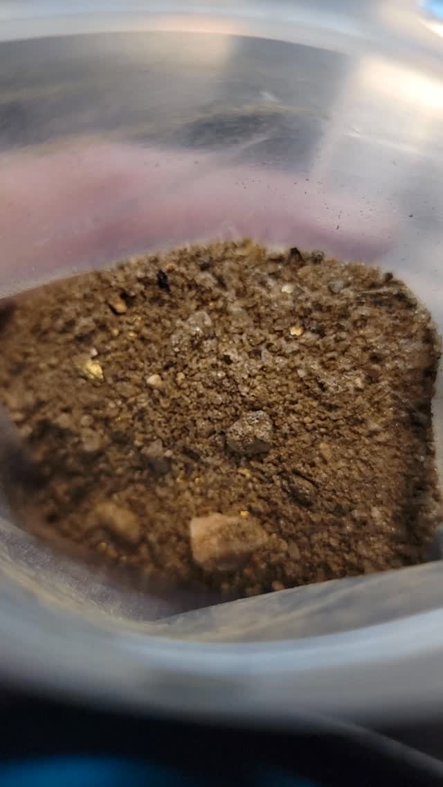 Only one bag of lucky strike paydirt left untill march 2nd