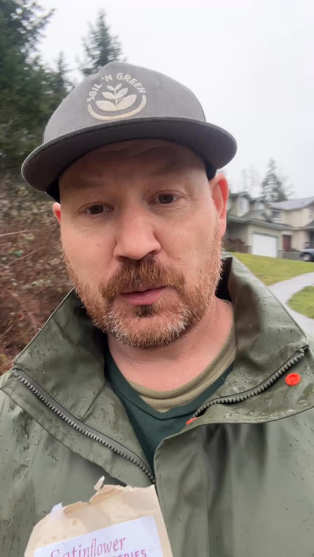 Perfect weather for seed sowing. Native plant seeds from @satinflowernurseries. 🌧️☀️⏱️🌱
- Farewell-to-Spring (Clarkia amoena)
- Field Chickweed (Cerastium arvense)