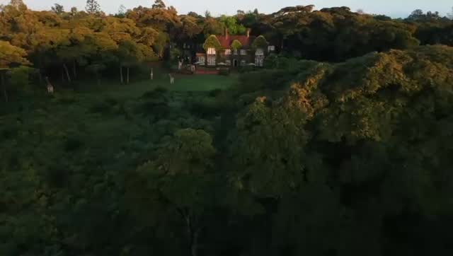 🦒The Viral Giraffe Manor Escape Everyone’s Dreaming about.🦒
Just booked… and it’s no surprise why! Kenya’s most iconic stay is incredibly popular and availability is very limited for these dates.
Imagine waking up at the legendary Giraffe Manor, a stunning 1930s manor on the edge of Nairobi’s forest, where endangered Rothschild’s giraffes gently poke their heads through your window at breakfast. It’s magical, unforgettable, and on just about every bucket list for a reason.
This exclusive 7-night escape from £4,500 per person (01 Feb – 31 Mar 2027) includes:
5 nights at the stylish PrideInn Azure Hotel – modern comfort in the heart of Nairobi
2 nights full board at Giraffe Manor – including those world-famous giraffe breakfast moments
Explore the Giraffe Centre, visit the historic Karen Blixen Museum, and return each evening to pure boutique luxury surrounded by lush gardens and roaming wildlife.
Travel with purpose – every booking supports the Mara Rianda Charitable Trust and the East Africa Character Development Trust, so your holiday gives back too.
This is one of our most in-demand experiences and rooms at Giraffe Manor are extremely limited. Once they’re gone, they’re gone.
Secure your spot now because watching a giraffe join you for breakfast isn’t something you leave to chance....
☎️ 07821 165615
📧elaineprice@designertravel.co.uk
💻www.elainepriceholidays.co.uk
Video credit: Giraffe Manor The Safari Collection
T&C's Prices are fluid and subject to availability. Price based on 2 adults sharing. No tourist tax in Kenya and prices are correct at time of posting 27/02/2026.
#giraffemanor #giraffe #ExperientialTravel #luxurytravel #ImmersiveExperience honeymoon bucketlisttravel