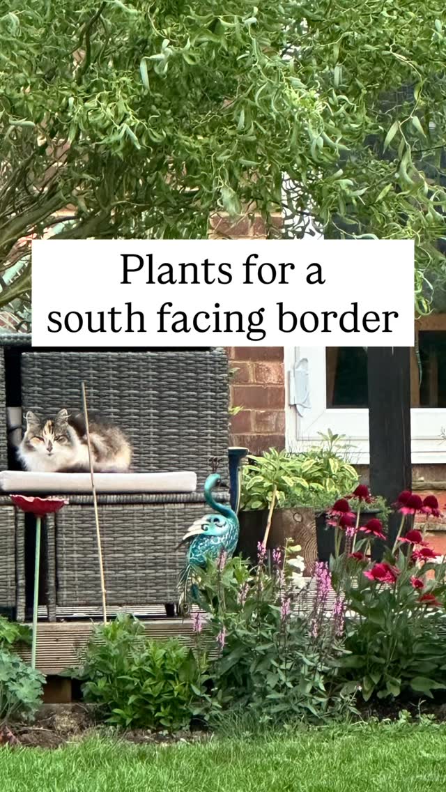 Marchās magazine is out now! Itās our 6 month anniversary and Iām so chuffed to be helping people organise their gardens for FREE. Packed full of month by month advice whether your on the allotment, or in your flower garden.
This issue also covers
š±What to plant in a south facing border
š±The New Naturalism - How To
Embrace Natural Gardening
š±The benefits of wild garlic for your health and wellbeing
You can sign up to receive straight into your inbox via the link below ā¬ļø OR, Link in Bio ā¬ļø
https://www.subscribepage.com/country_cottage_borders #gardening #gardenjobs #tips #freemagazine