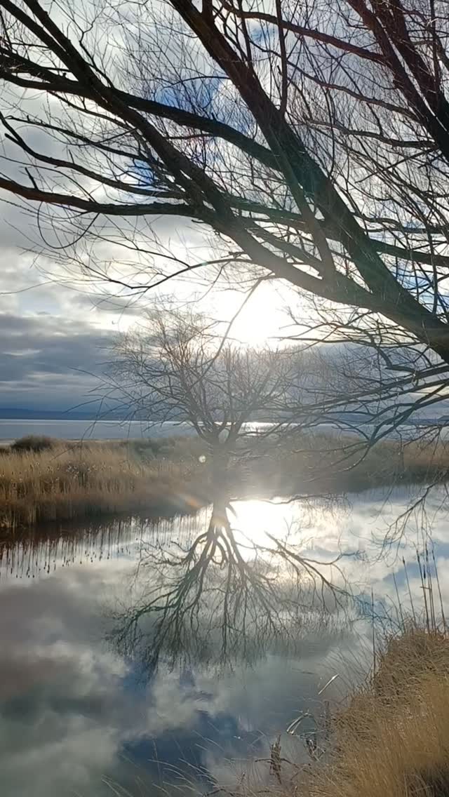 Go live your life. Go live your life and have it be without shame or artifice or strife. Go live your life in all kinds of weather, moods, and incarnations. Go, live your life, do not wait or slow or stumble or apologize. Go live your life because the whole world waits for you. #getoutside #wheresyourwild #oregon