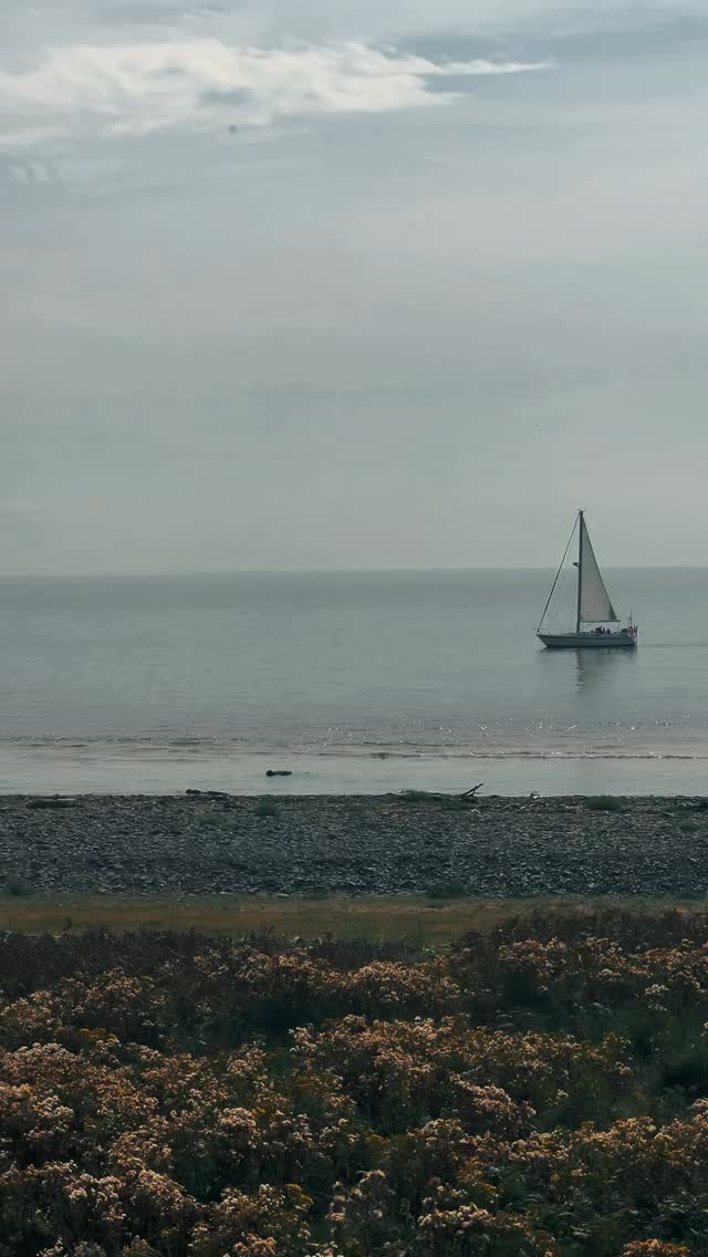 You can’t always see the waves someone’s fighting. A little patience, a little empathy, a little softness — it costs nothing but can mean everything 🤍
#KindnessMatters #LeadWithEmpathy #HumanFirst #EmotionalIntelligence #BeTheDifference