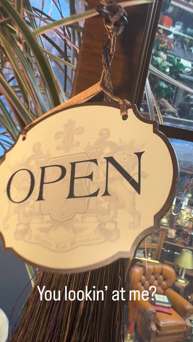 Polly is perfectly perched with pocket size perfection! #aliteration #parrots_life #birdlife_insta #miniature