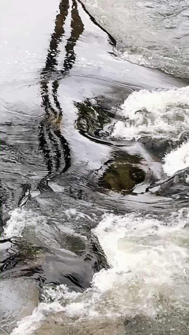 #Water #river #reflections #flowstate